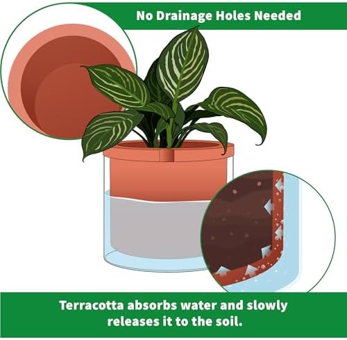 Phoenix Vine 8 Inch Self Watering Planter, Design Terracotta Pot for Plants, Indoor Cylinder Terra Cotta Pot with Glass Vase, Set of 1, 51-A-H-1 - Image 6