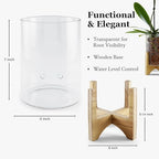 Pot & Pebble C6 Glass Propagation Vase, Wood Base - LECA Orchid Planter - Image 6