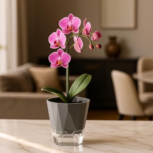12 Pack Self Watering Plant Pots 6 Inches Self-Watering Planters for Indoor and Outdoor Plants African Violet Succulent Pots Clear Pot for Plants Large Herb Orchid Flower Houseplant Plant, Dark Grey - Image 2