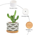 Gray Swan Cranes Ceramic Planters Grey and White Lily Geese Flock Flower Pots for Indoor Plants with Drainage Holes and Saucers Pot for Home Desktop Office Windowsill - Image 3