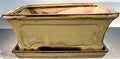 Bonsai Boy Olive Green Ceramic Bonsai Pot - Rectangle Professional Series with Attached Humidity Drip Tray 10 25 x 8 0 x 4 125 OD 9 0 x 7 0 x 3 25 ID by Bonsai+Boy