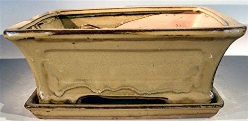 Bonsai Boy Olive Green Ceramic Bonsai Pot - Rectangle Professional Series with Attached Humidity Drip Tray 10 25 x 8 0 x 4 125 OD 9 0 x 7 0 x 3 25 ID by Bonsai+Boy