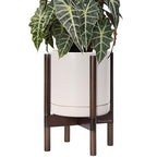 D'vine Dev Ceramic Pot with Walnut Wood Stand, Oatmeal, 10 in, 55-B-X-8 by DvineDevPlanterPotsandStand