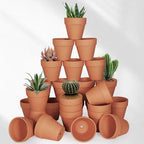 FCFKUK 4 inch Terracotta Clay Pots, 24 Pack Clay Flower Pots with Drainage, Great for Plants, DIY, Crafts, Wedding - Image 5