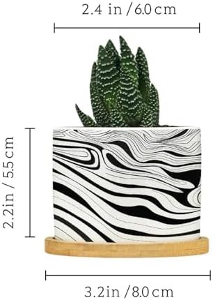 African Zebra Strip Print Ceramic Planter Black White Animal Strip Pots for Plants with Drainage Holes and Saucers Pot for Pots Outdoor Indoor Plants - Image 2