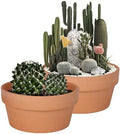 vensovo 8 Inch Terracotta Shallow Planter Pots, 2 Pack, Drainage Hole by vensovo