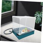 Mini Succulent Greenhouse Plant Box with Drainage and Weather Protection - Image 6