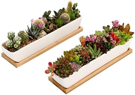 yeyo Elegant Ceramic Succulent Pots - 1 Pot - Long Rectangle - with Bamboo Tray - White - 11 for Balcony by Unknown