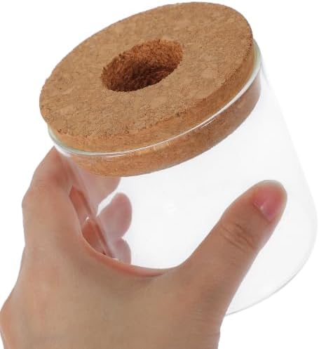 Glass Plant Terrarium Propagation Station for Hydroponic Roots - Image 4
