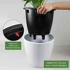 Dexceder 13x12 Self Watering Planter with Wheels (White Matte) - Image 4