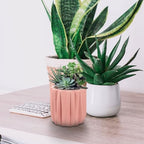 FOMIYES Modern Geometric Ceramic Planter Pot with Saucer and Drainage Hole - Image 4