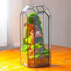 NCYP Glass Geometric Octagon Plant Terrarium with Door 5.5"x5.5"x12.8" - Image 6
