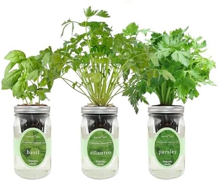 Hydroponic Herb Growing Kit Set, Self-Watering Mason Jar Herb Garden Starter Kit Indoor, Windowsill Herbs Garden, Grow Your Own Herbs from Organic Seeds (Basil, Cilantro and Parsley) by Environet