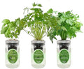 Hydroponic Herb Growing Kit Set, Self-Watering Mason Jar Herb Garden Starter Kit Indoor, Windowsill Herbs Garden, Grow Your Own Herbs from Organic Seeds (Basil, Cilantro and Parsley) by Environet