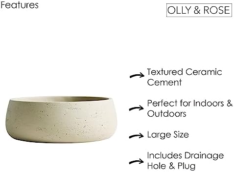 Olly & Rose Large Ceramic Planter Bowl Shallow Plant Pot - Off White Cream Ivory Flower Pot Indoor and Outdoor Decorative Bowl Garden and Home Décor - Image 5