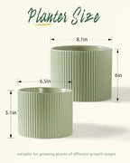Ceramic Plant Pots, 8.1 + 6 Inch Planters for Indoor Plants, Modern Flower Pot for Plant with Drainage, Medium Cylinder Flower Pots for Indoor/Outdoor, House Plants, Matte Green - Image 2