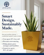 Posie Pot Medium Twisted Square - Self Watering Planter 5x5 Inch - Indoor Plant Pot with 30 Day Reservoir - 3D Printed Bioplastic - No Guilt Plant Care - Made in USA, Gold - Image 4