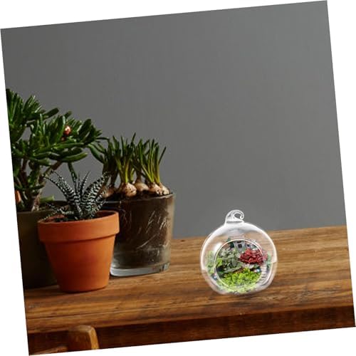 12pcs Globe Glass Terrarium Hanging Plant Planter for Micro Landscapes - Image 5