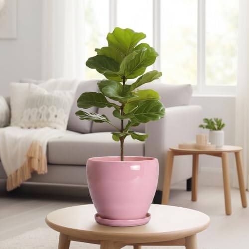 Ceraimc 8 Inch Plant Pot, Ceraimc Planters for Indoor Plants, Pink - Image 7
