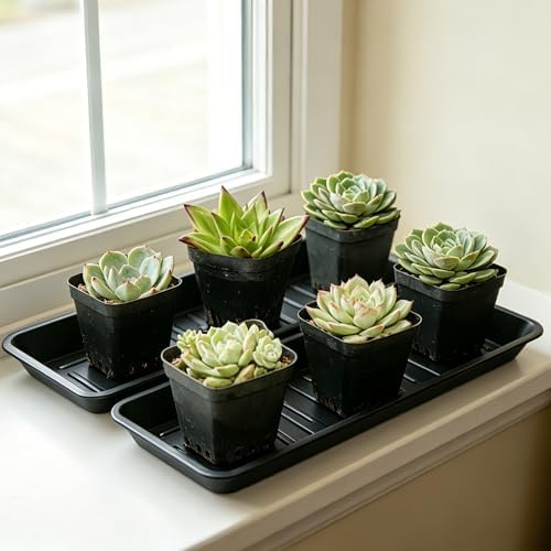 4 Pack Plastic Plant Tray Saucer Rectangular 17 18 Inch, Planter Trays Saucers for Indoor Outdoor, Plant Water Drip Trays, Windowsill, 7.7 x 17.5 Inches, Black - Image 5
