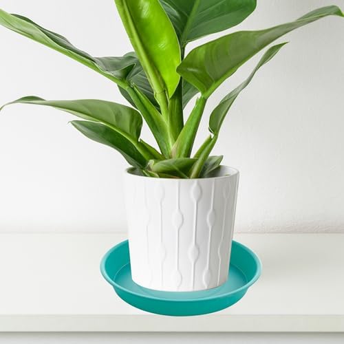 4 Pack of 14 inch Plant Saucers Bird Bath Bow Round, Plastic Plant Saucer Tray for Pots, White Planters for Indoor Plants, Plant Trays for Planter 12-15" (14", Teal) - Image 5
