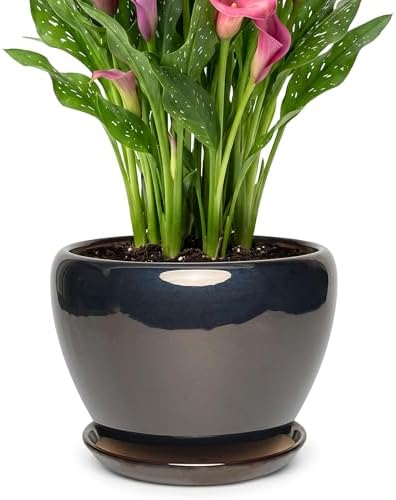 9.5 Inch Ceramic Plant Pot with Drainage Hole Mesh Net,Modern Gardening Pots for Indoor Plants with Saucer, Black by Unknown