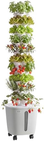 VEVOR Hydroponic Tower, 50 Pods 10 Tiers Hydroponics Growing System Kit with App Control & Casters, Vertical Home Garden with 20L Water Tank & Pump, Planter for Indoor Herbs, Fruits and Vegetables by VEVOR