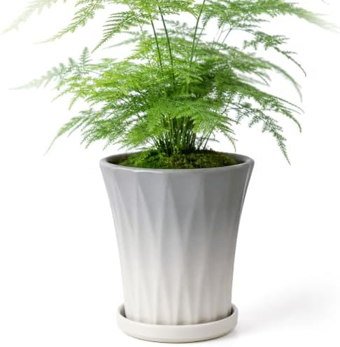 Ceramic Pots for Plants with Saucer(Grey, 6.7 Inch) by Unknown