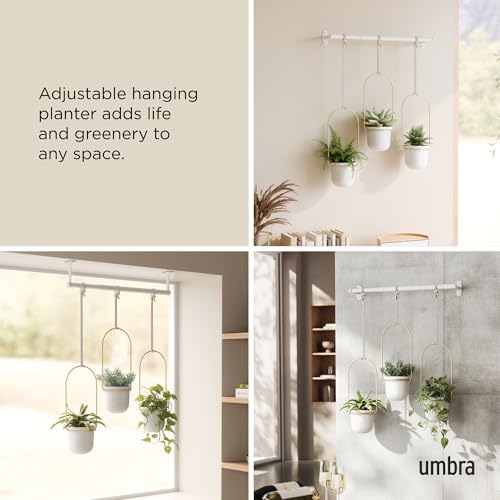 Umbra Triflora Hanging Planter, Indoor Herb Garden, Set of 3, White/Brass - Image 4