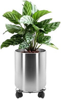 Longrun 11.8 Inch Dia Round Planter, Modern Indoor Outdoor Large Stainless Steel Plant Pot and Plant Caddy with Wheels for Home Patio Garden, Easy to Clean and Move by Longrun