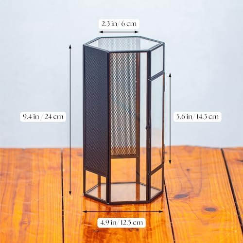 NCYP Small Glass Terrarium with Mesh and Door for Spiders, Hexagon Shape Small Mantis Vented Glass Terrarium 4.9'' x 4.3'' x 9.4'', Tabletop Decor, Black (Plants Not Include) - Image 4
