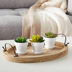 Juvale Mini Terracotta Pots - Pot with Drainage Hole - Versatile Succulent & Herb Planter - Paintable White Planter for Custom Decor - Pack of 12, White, 2.9 x 2.9 x 2.5 in - Image 3