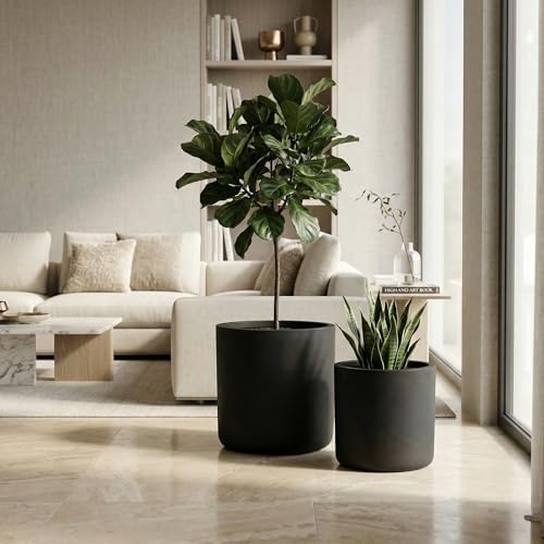 13" Round Concrete Planter Set, 13 and 16 Inch, Black by Noeko
