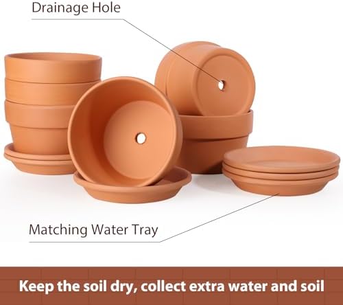 INGOFIN 5 Inch Terracotta Shallow Pots Set with Saucer - Ceramic Clay Pots with Drainage Hole, Terra Cotta for Plants for Indoor Outdoor Plants, Set of 6 - Image 3