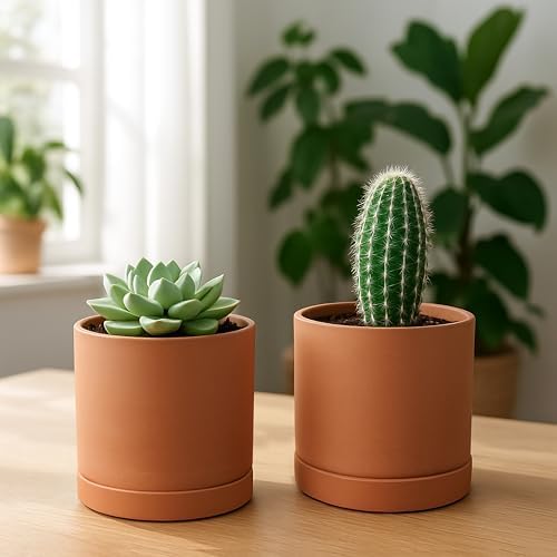 D'vine Dev 2-Pack Terracotta Plant Pots with Saucers, 5 Inch, 40-X-B-2 - Image 2