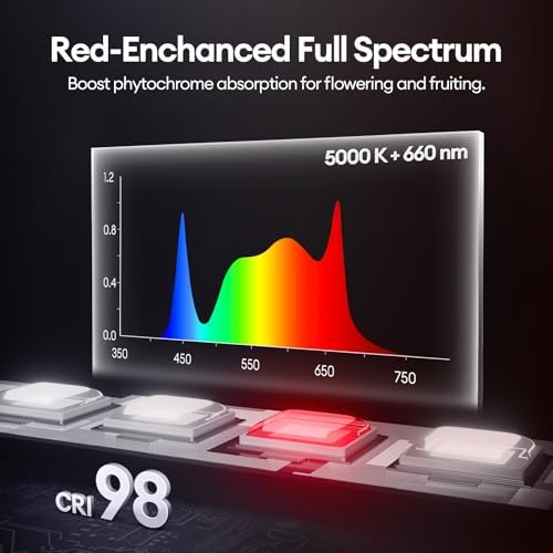 Maygrove T5 Grow Lights for Indoor Plants 2FT, Red-Enhanced Full Spectrum 5000K Grow Light, 60W(4 x 15W), Grow Light Strips for Seed Starting, Greenhouse, High PPFD, Linkable, Black, 4-Pack - Image 3