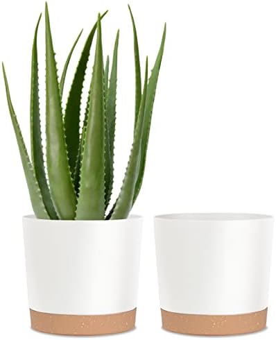 kubvici Plant Pots for Indoor Plants, 2 Pack 10 Inch Plant Pot Plastic Flower Pots Planters with Drainage Saucer for Indoor Outdoor Garden Home (10" White) by kubvici