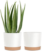 kubvici Plant Pots for Indoor Plants, 2 Pack 10 Inch Plant Pot Plastic Flower Pots Planters with Drainage Saucer for Indoor Outdoor Garden Home (10" White) by kubvici