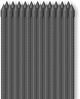 AC Infinity Garden Plant Stakes, Heavy-Duty Steel 60" by ACInfinity