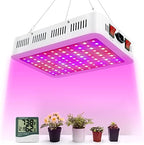 LED Grow Lights, 1000 Watt LED Full Spectrum Sunlike Growing Lamp for Indoor Plant with Daisy Chain Function,Temperature Humidity,Seedling Veg Bloom Three Modes Coverage3.5x3.5ft by NAILGIRLS