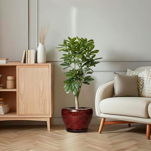 Ceramic Plant Pots - 10 Inch Planters for Plants Indoor Outdoor, Round Plant Pots with Drainage Hole and Saucer, Decorative Indoor Planter, Office Decor, Gifts for Plant Lovers, Red Leopard - Image 6
