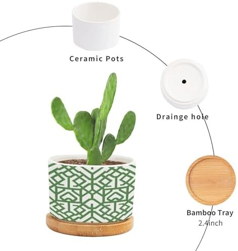 Grey Sage Green Century Ceramic Planter Snake Plant Live Indoor with Pot with Drainage Holes and Saucers Pot for Home Office Desk Garden - Image 3