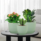 WSMKSZ Large Plant Pots 12/10/9 inch, Set of 3 Modern Decorative Plastic Planters with Drainage Holes and Saucers, Flower Pots for Indoor Outdoor Plants, Green - Image 7