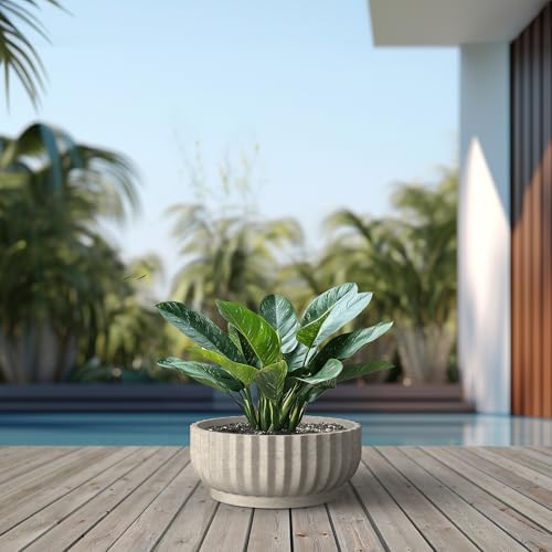 Kante Accent Round Shallow Weathered Concrete Planter 20.9" Dia, Outdoor - Image 6