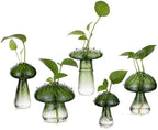 Glasseam Mushroom Glass Propagation Station, 5Pcs Green Plant Terrarium Jar by Glasseam