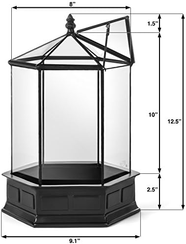 H Potter Six-Sided Glass Terrarium Wardian Case Succulent Planter - Image 6