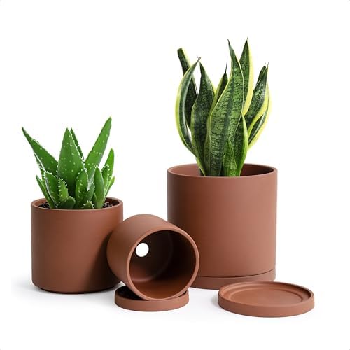 D'vine Dev 3-Pack Rust Terracotta Pots & Saucers, 4/5/6 in, 40-T-A-3 by DvineDevPlanterPotsandStand
