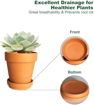 7.5 Inch Terracotta Plant Saucer - 6 Pcs Large Terra Cotta Saucer for Indoor & Outdoor Plants, Plant Drip Trays Perfect for 6 Inch 6.5 Inch Flower Pots - Image 3