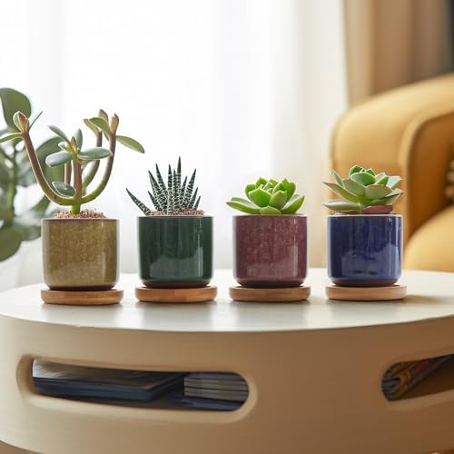 T4U 2.5 Inch Small Ceramic Succulent Planter Pot with Bamboo Saucer Set of 6, Ice Crack Glaze Porcelain Handicraft Plant Container Gift for Mom Sister Aunt Best for Home Office Desk Decoration - Image 7