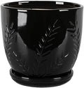 Aspen & Fig Black 8 Inch Indoor Ceramic Plant Pot with an Attached Saucer and Drainage Hole for House Plants, Herbs, Flowers, Succulent, Snake Plants, Gifts for Mom, Standard Pot by Unknown